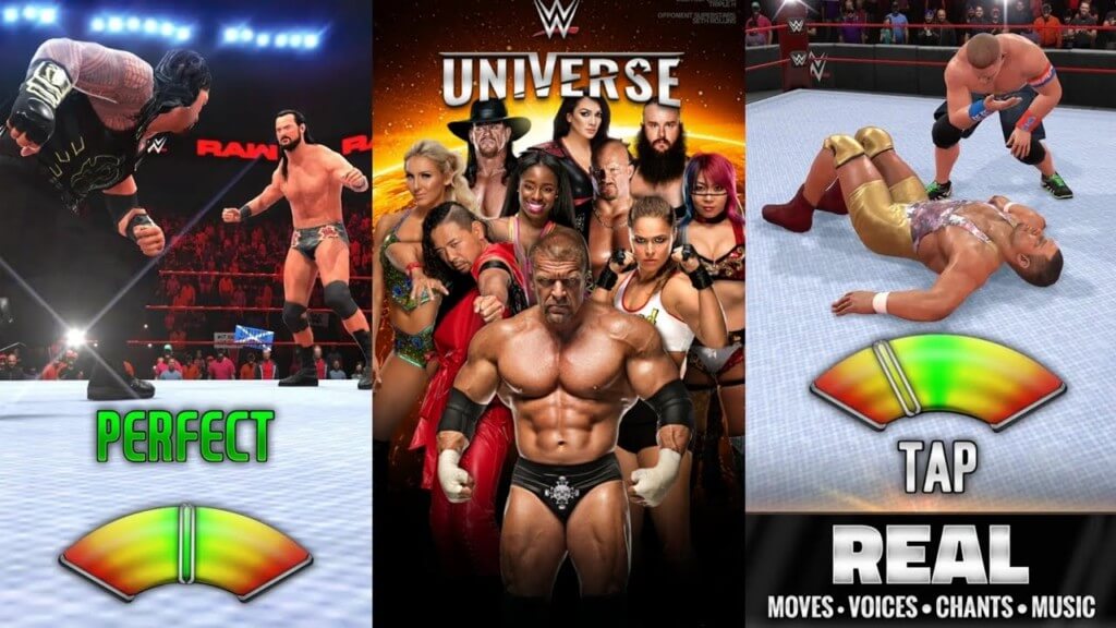 WWE Universe