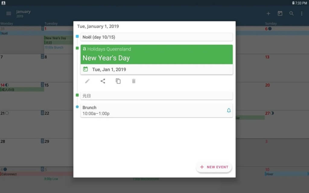 Внешний вид программы aCalendar