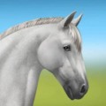 Howrse 4.0.5