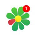 ICQ 8.4