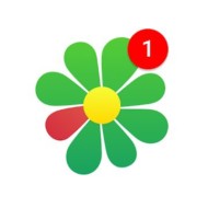 ICQ 8.4