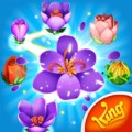 Blossom Blast Saga 79.0.0