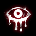 Eyes 8.0.32