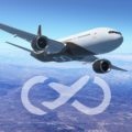 Infinite Flight Simulator 25.1.1