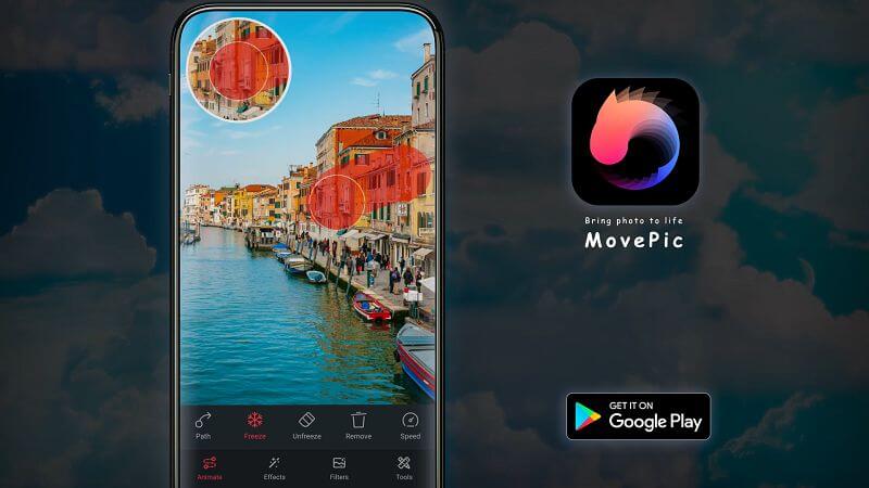 Подробнее о программе Movepic