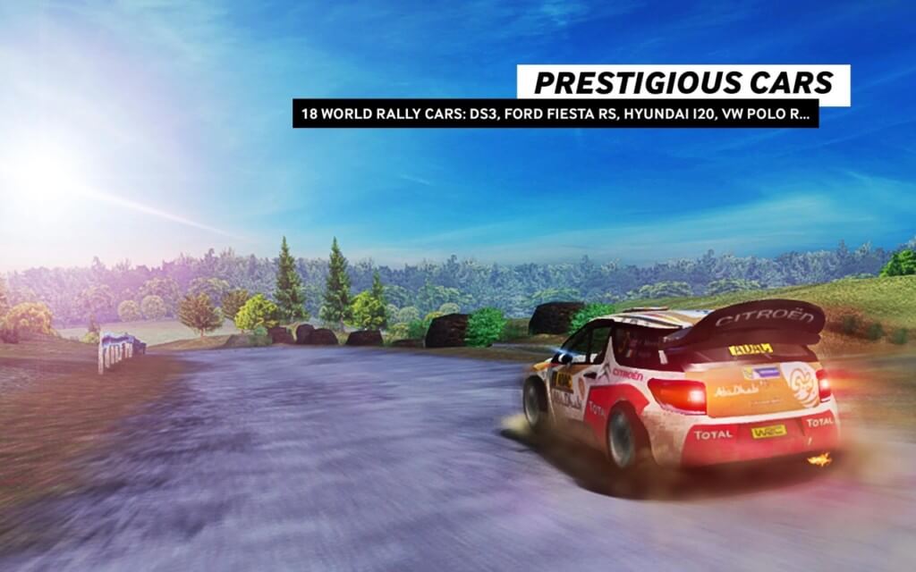 WRC The Official Game - механика игры
