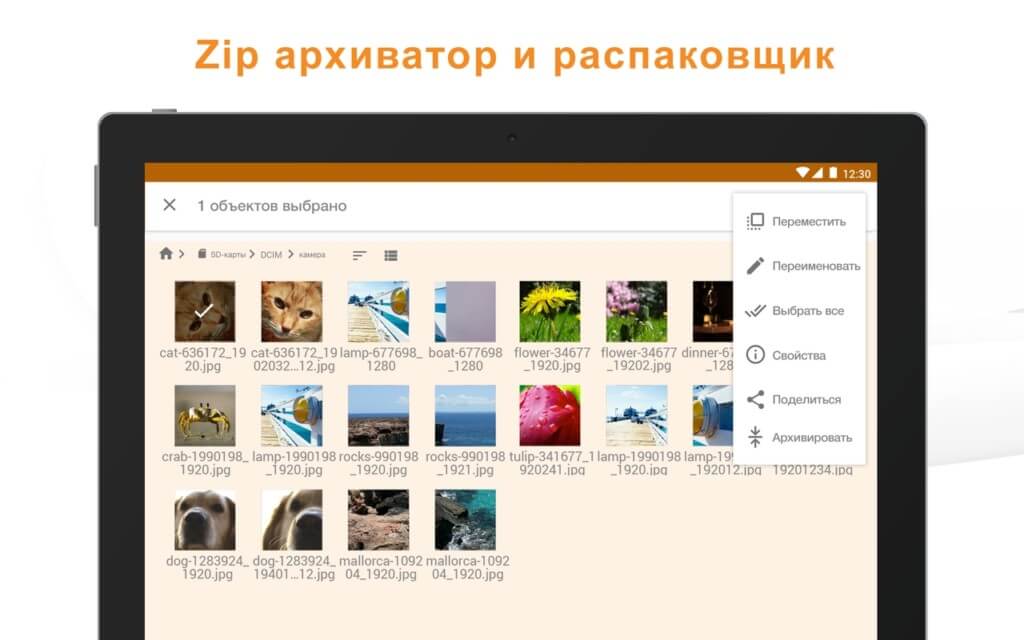 Особенности Astro File Manager