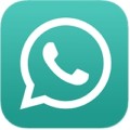GBWhatsapp 2.24.9.31