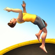 Flip Master 2.2.1