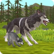 WildCraft 19.5