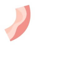 Bacon 1.52