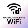 Instabridge 22.2025.05.08.2045