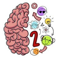 Brain Test 2 0.79