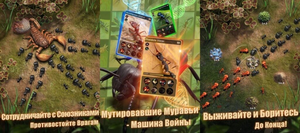 The Ants Underground Kingdom - развивайте колонию муравьев