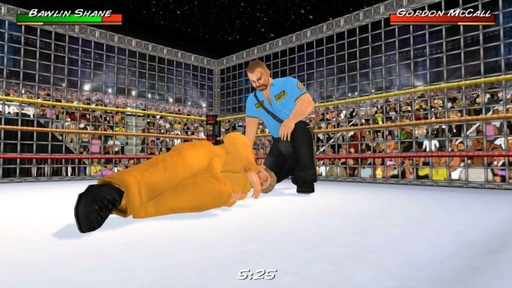 Несколько увлекательных игровых режимов в игре Wrestling Revolution 3D