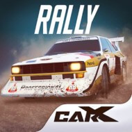 CarX Rally 29401