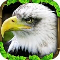 Eagle Simulator 1.2