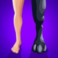 Merge Animals 3D 1.0.9