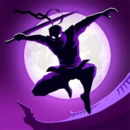 Shadow Knight 3.24.404