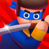 Mr Ninja 2.24
