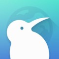 Kiwi Browser 96.0.4664.46