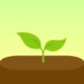 Forest: Будь сосредоточенным 4.42.0