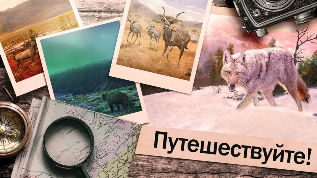 Графика и звук в игре Hunting Clash