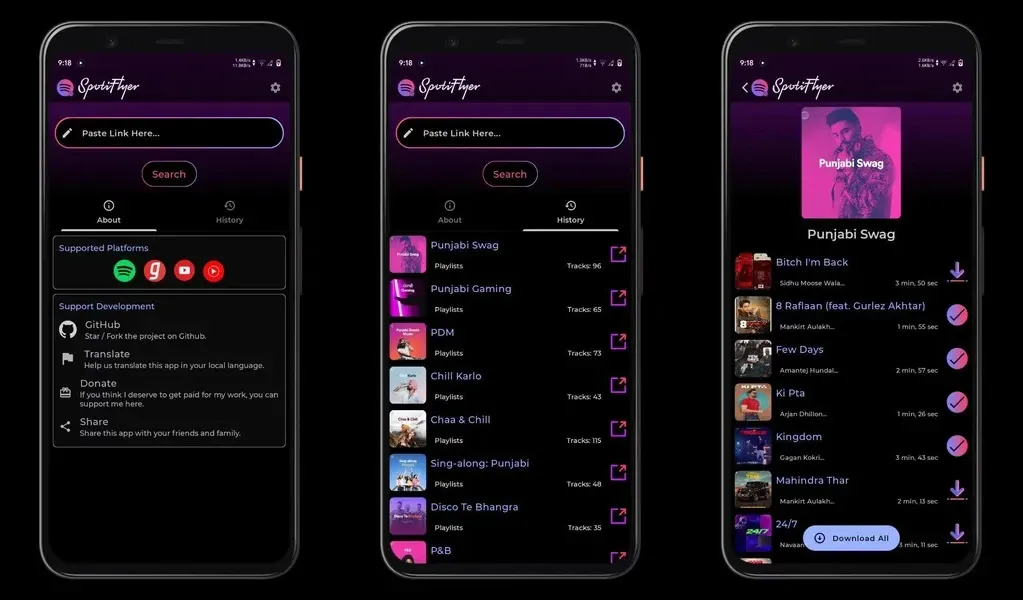 Что такое SpotiFlyer?