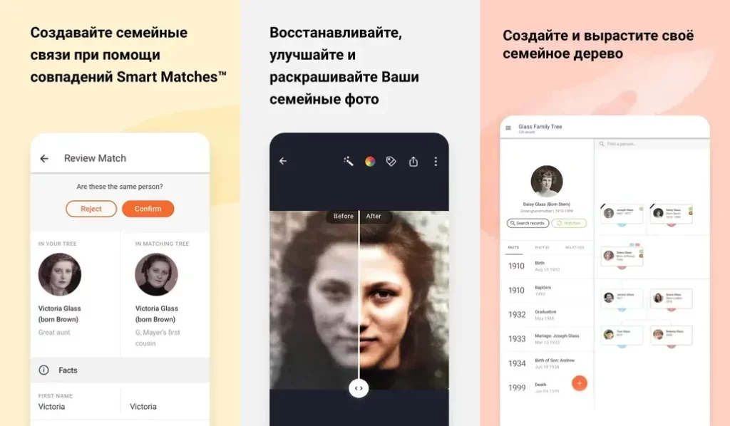 MyHeritage – откройте для себя свои корни через огромную базу данных