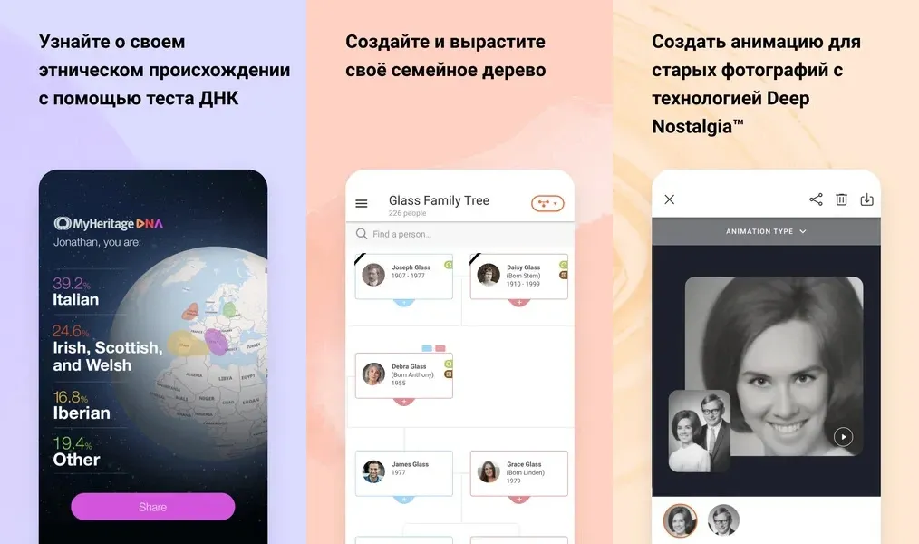 MyHeritage - простой и современный интерфейс