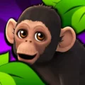 Zoo Life 1.1.1