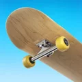 Flip Skater 2.46