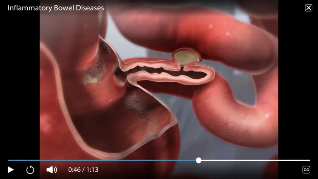 Physiology & Pathology - интуитивно понятный интерфейс, множество настроек