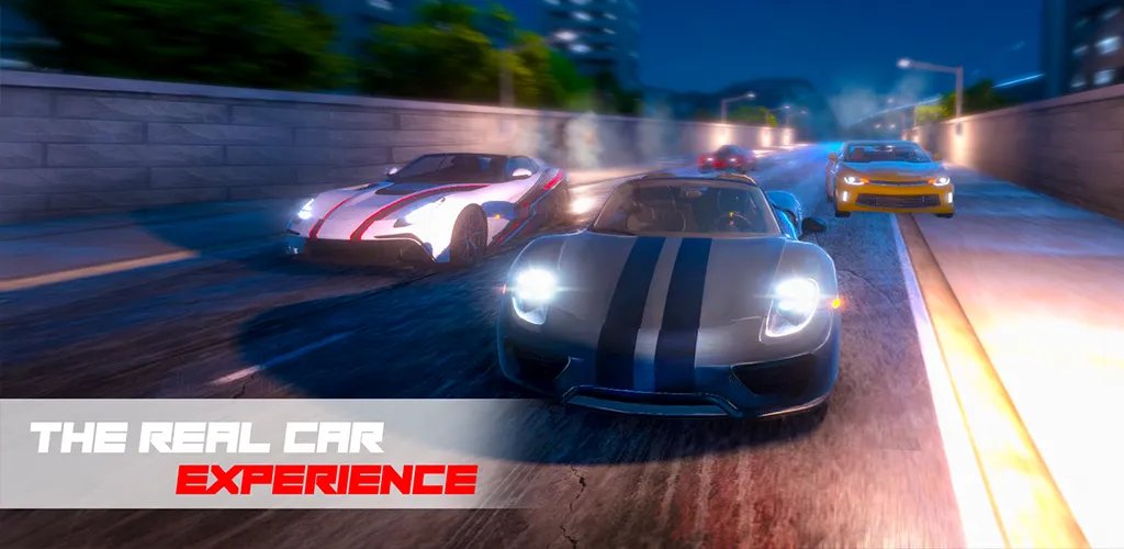 Подробнее об игре Pro Car Driving Simulator
