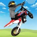 Wheelie King 5 1