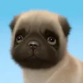 Solitaire Dog TriPeaks 1.0