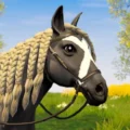 Star Equestrian 1.0
