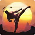 Shades: Shadow Fight Roguelike 1.11.6