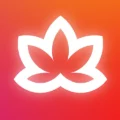 Meditative Mind 2.94