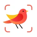 Picture Bird 2.9.23