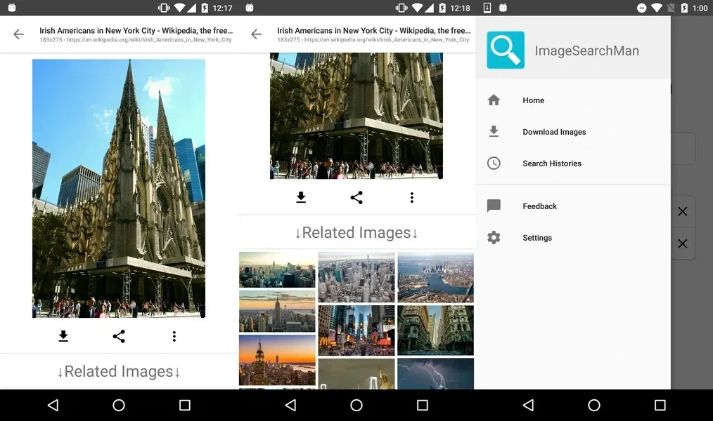 ImageSearchMan — быстро находите разные изображения