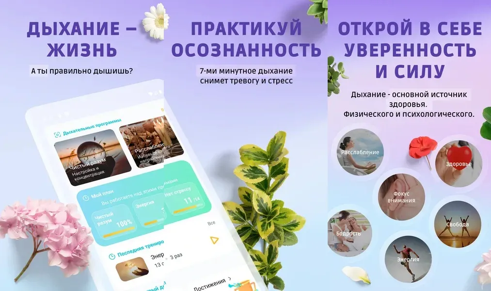 Подробнее о приложении Пранарию / Pranaria