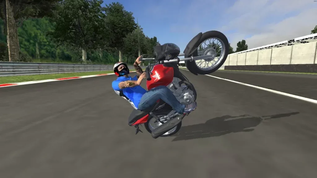 Графика в игре MX Grau