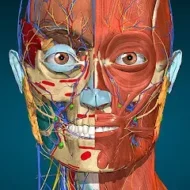 Anatomy Learning 3.1.466