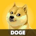 Crypto DOGE 
