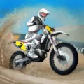 Mad Skills Motocross 3 5.0.8