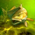 My Fishing World 1.15.22