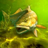 My Fishing World 1.15.22