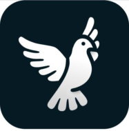 ByeByeDPI 1.7.5