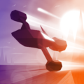 RACE THE SUN 1.33.2